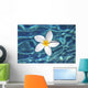 Plumeria flower floating in clear blue water Wall Mural