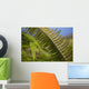 Hawaii, Maui, Waihee, A closeup of green fern with seeds Wall Mural