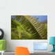 Hawaii, Maui, Waihee, A closeup of green fern with seeds Wall Mural