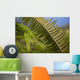 Hawaii, Maui, Waihee, A closeup of green fern with seeds Wall Mural