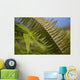Hawaii, Maui, Waihee, A closeup of green fern with seeds Wall Mural