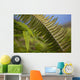 Hawaii, Maui, Waihee, A closeup of green fern with seeds Wall Mural