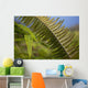 Hawaii, Maui, Waihee, A closeup of green fern with seeds Wall Mural