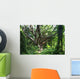 Hawaii, Maui, Honolua, A tree surrounded by lush green vines Wall Mural