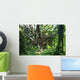 Hawaii, Maui, Honolua, A tree surrounded by lush green vines Wall Mural