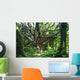 Hawaii, Maui, Honolua, A tree surrounded by lush green vines Wall Mural