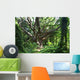 Hawaii, Maui, Honolua, A tree surrounded by lush green vines Wall Mural