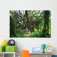 Hawaii, Maui, Honolua, A tree surrounded by lush green vines Wall Mural