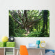 Hawaii, Maui, Honolua, A tree surrounded by lush green vines Wall Mural