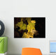 New Hampshire, White Mountains, Sun Lit Foliage Wall Mural