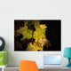 New Hampshire, White Mountains, Sun Lit Foliage Wall Mural