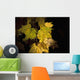 New Hampshire, White Mountains, Sun Lit Foliage Wall Mural