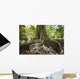 Hawaii, Maui, Keanae, An old tree with large roots Wall Mural