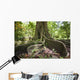 Hawaii, Maui, Keanae, An old tree with large roots Wall Mural