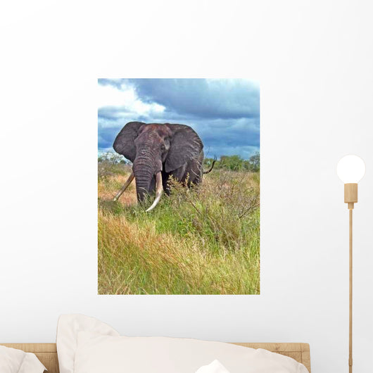 Elephant Wall Decal Design 2