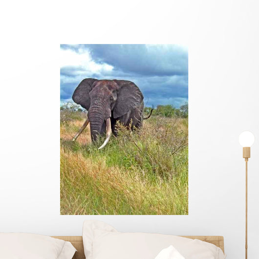 Elephant Wall Decal Design 2