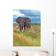 Elephant Wall Decal Design 2