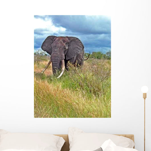 Elephant Wall Decal Design 2