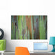 A closeup view of the colorful Painted Eucalyptus tree Wall Mural