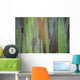 A closeup view of the colorful Painted Eucalyptus tree Wall Mural