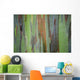 A closeup view of the colorful Painted Eucalyptus tree Wall Mural