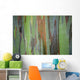 A closeup view of the colorful Painted Eucalyptus tree Wall Mural