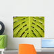 Hawaii, Maui, Keanae, A closeup view of a large green leaf Wall Mural