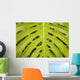 Hawaii, Maui, Keanae, A closeup view of a large green leaf Wall Mural