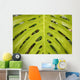Hawaii, Maui, Keanae, A closeup view of a large green leaf Wall Mural