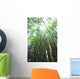 Hawaii, Maui, Hana, A path through green bamboo Wall Mural