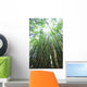 Hawaii, Maui, Hana, A path through green bamboo Wall Mural