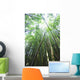 Hawaii, Maui, Hana, A path through green bamboo Wall Mural