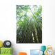 Hawaii, Maui, Hana, A path through green bamboo Wall Mural