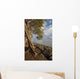 Hawaii, Maui, Kihei, A Kiawe Tree at sunset Wall Mural