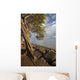 Hawaii, Maui, Kihei, A Kiawe Tree at sunset Wall Mural