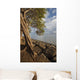 Hawaii, Maui, Kihei, A Kiawe Tree at sunset Wall Mural