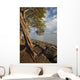 Hawaii, Maui, Kihei, A Kiawe Tree at sunset Wall Mural