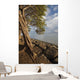 Hawaii, Maui, Kihei, A Kiawe Tree at sunset Wall Mural