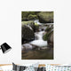 Hawaii, Maui, Iao River Valley waterfall Wall Mural