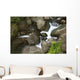 Hawaii, Maui, Iao River Valley waterfall Wall Mural