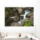 Hawaii, Maui, Iao River Valley waterfall Wall Mural
