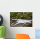 Hawaii, Maui, Iao River Valley, water in motion Wall Mural