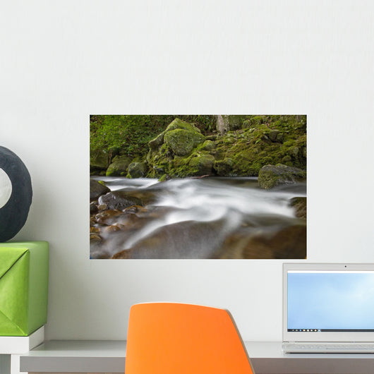 Hawaii, Maui, Iao River Valley, water in motion Wall Mural