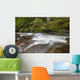 Hawaii, Maui, Iao River Valley, water in motion Wall Mural