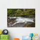 Hawaii, Maui, Iao River Valley, water in motion Wall Mural