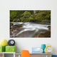 Hawaii, Maui, Iao River Valley, water in motion Wall Mural