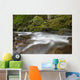 Hawaii, Maui, Iao River Valley, water in motion Wall Mural