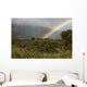 Hawaii, Maui, A rainbow over the lush Kaupo Gap Wall Mural