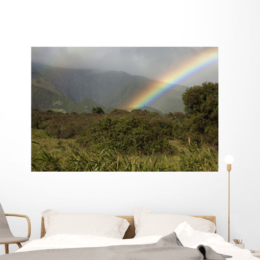 Hawaii, Maui, A rainbow over the lush Kaupo Gap Wall Mural