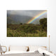 Hawaii, Maui, A rainbow over the lush Kaupo Gap Wall Mural